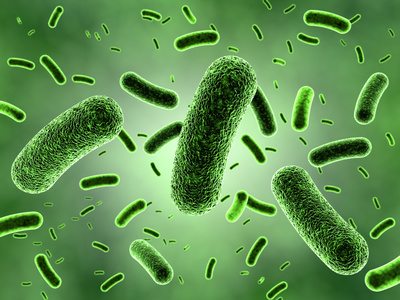 The Relief Report: Microbiome Testing