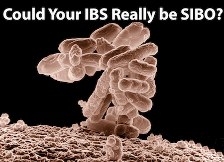 Small Intestinal Bacteria Overgrowth (SIBO) and IBS