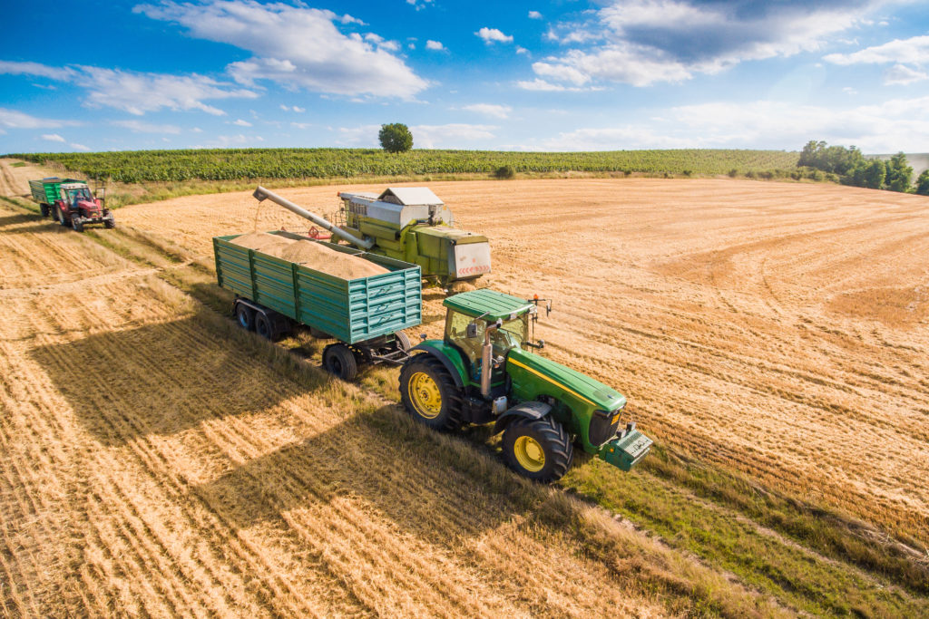 farm, field, tractor, grains