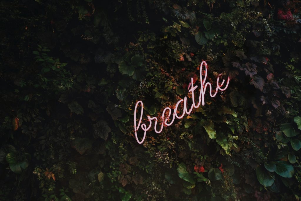 breath, greenery